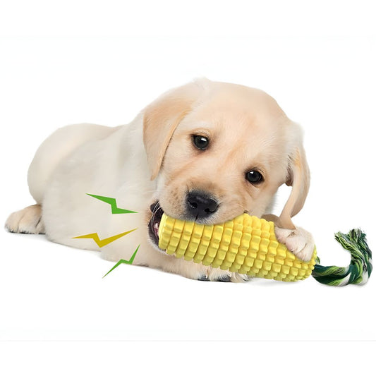Light-colored puppy actively chewing on the Globopaw textured corn stick toy, engaging the built-in squeaker.