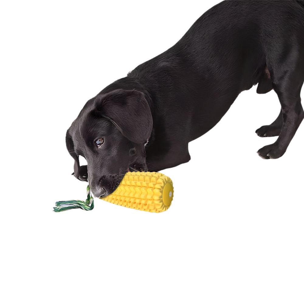 Black dog engaging with the Globopaw textured corn chew toy, highlighting the durable TPR body and attached rope.